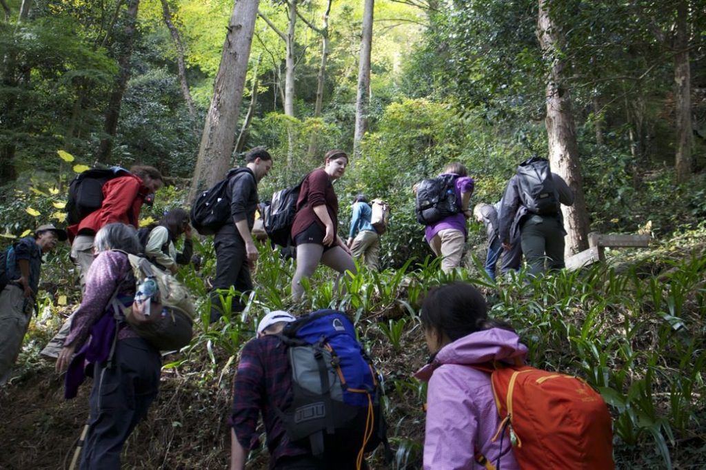 Autumn Hiking Tour ー Mt. Sekirozan in Kanagawa