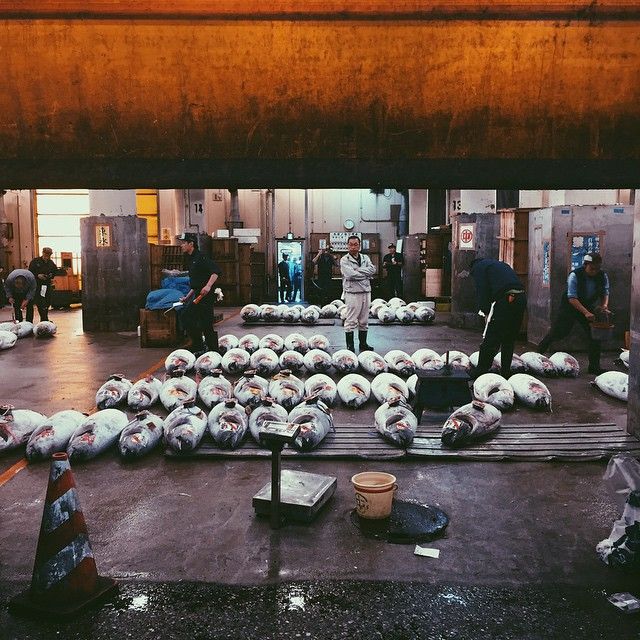 tsukiji_NicholasFheng