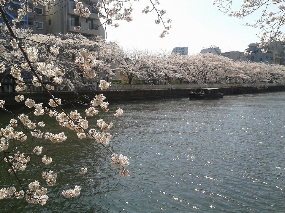 8Kiyosumi-Shirakawa_NoyliJulie