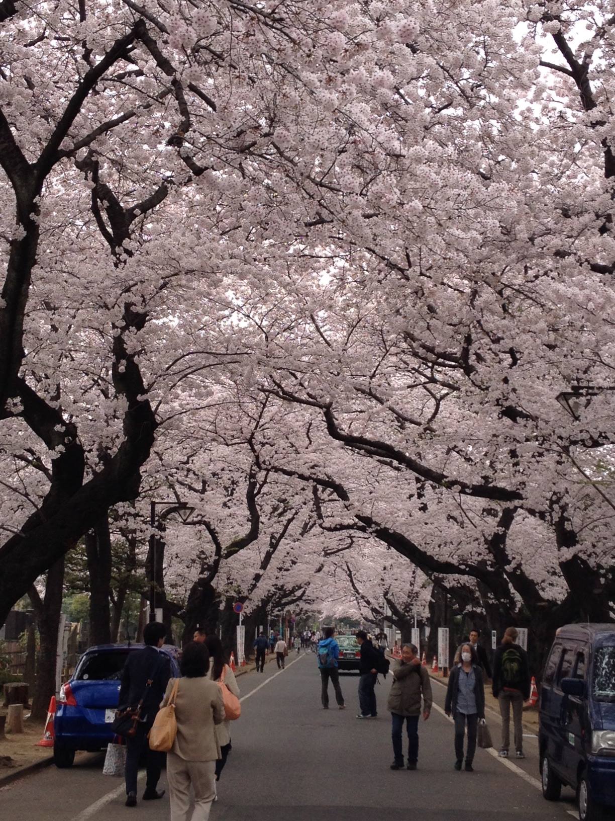 14Yanaka_SallyHutchinson