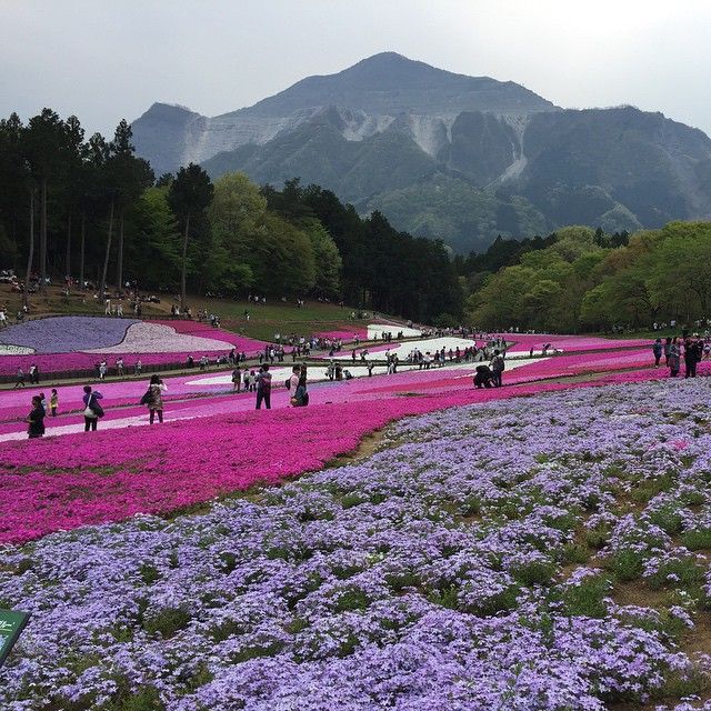 4hitsujiyamakoen_Josepholler