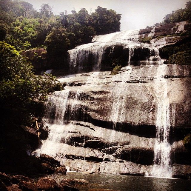 13yakushima_MikeyCheah