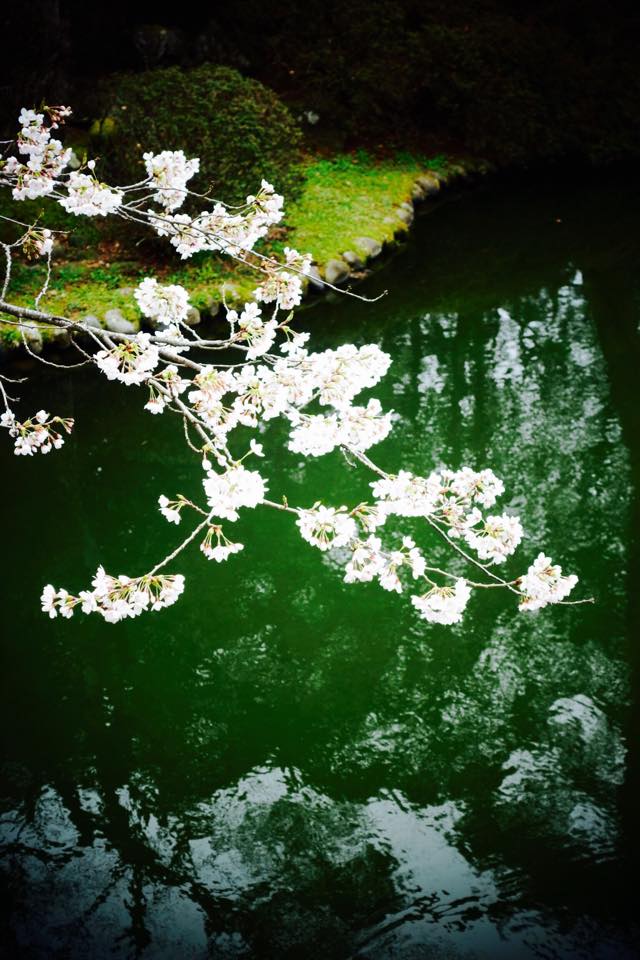 16無場所_GwenAnderson