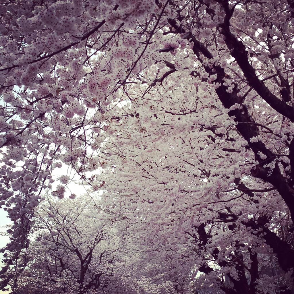 17無場所_ObjectifJapon