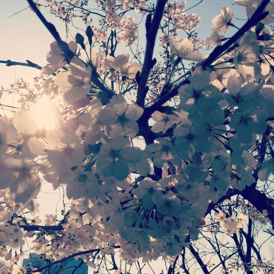 18無場所_SandyFangHui