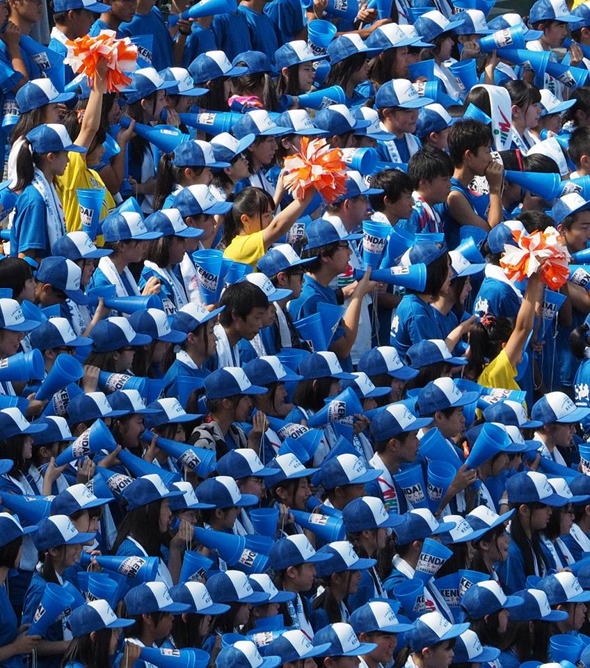 Baseball_SteveNovosel