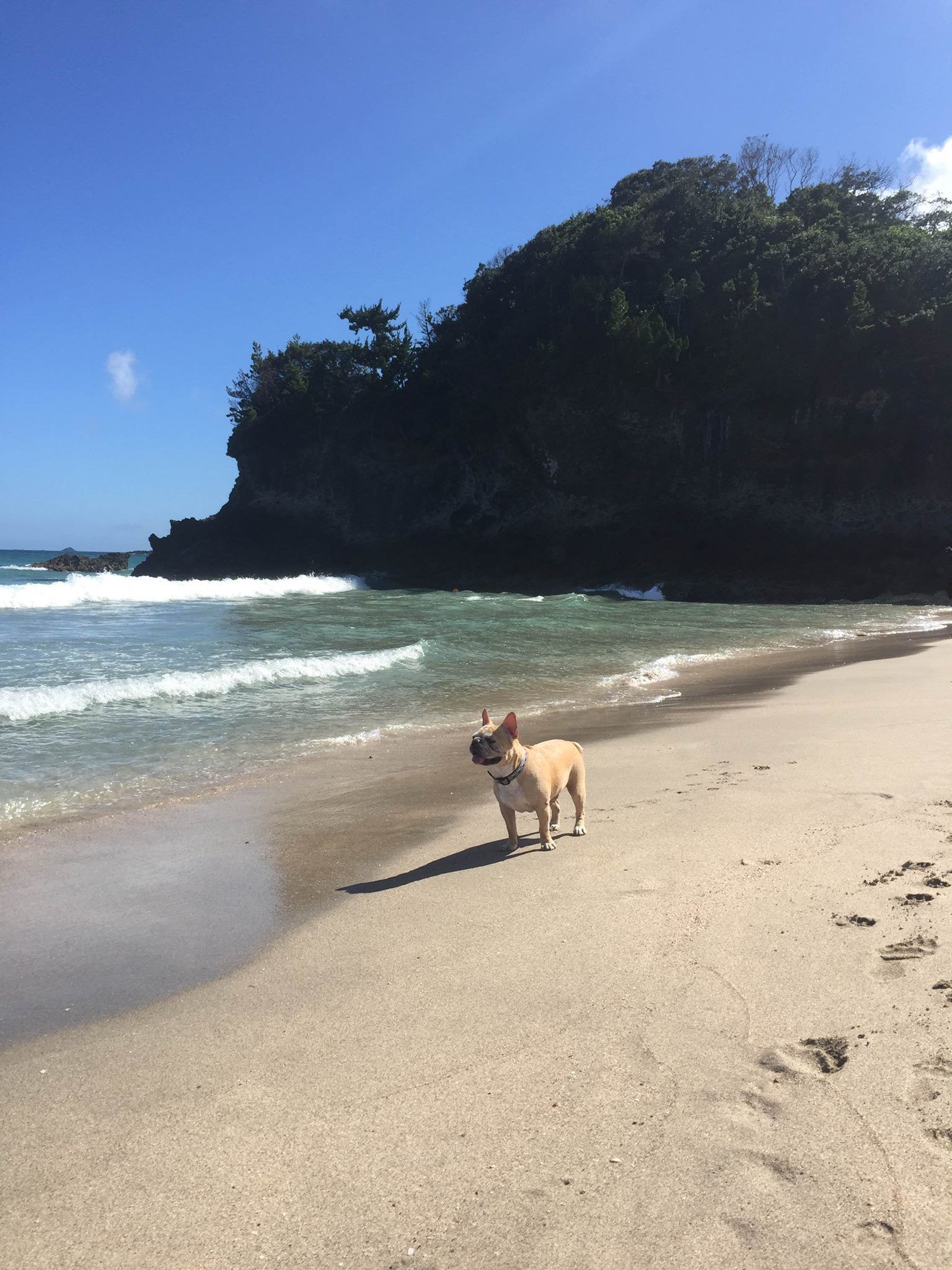 Shimoda_Tiina Matikainen