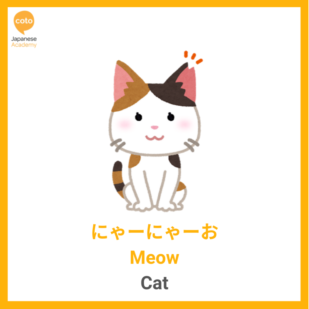 Common Animal Onomatopoeia used by the Japanese, cat, meow, image, photo, picture, illustration