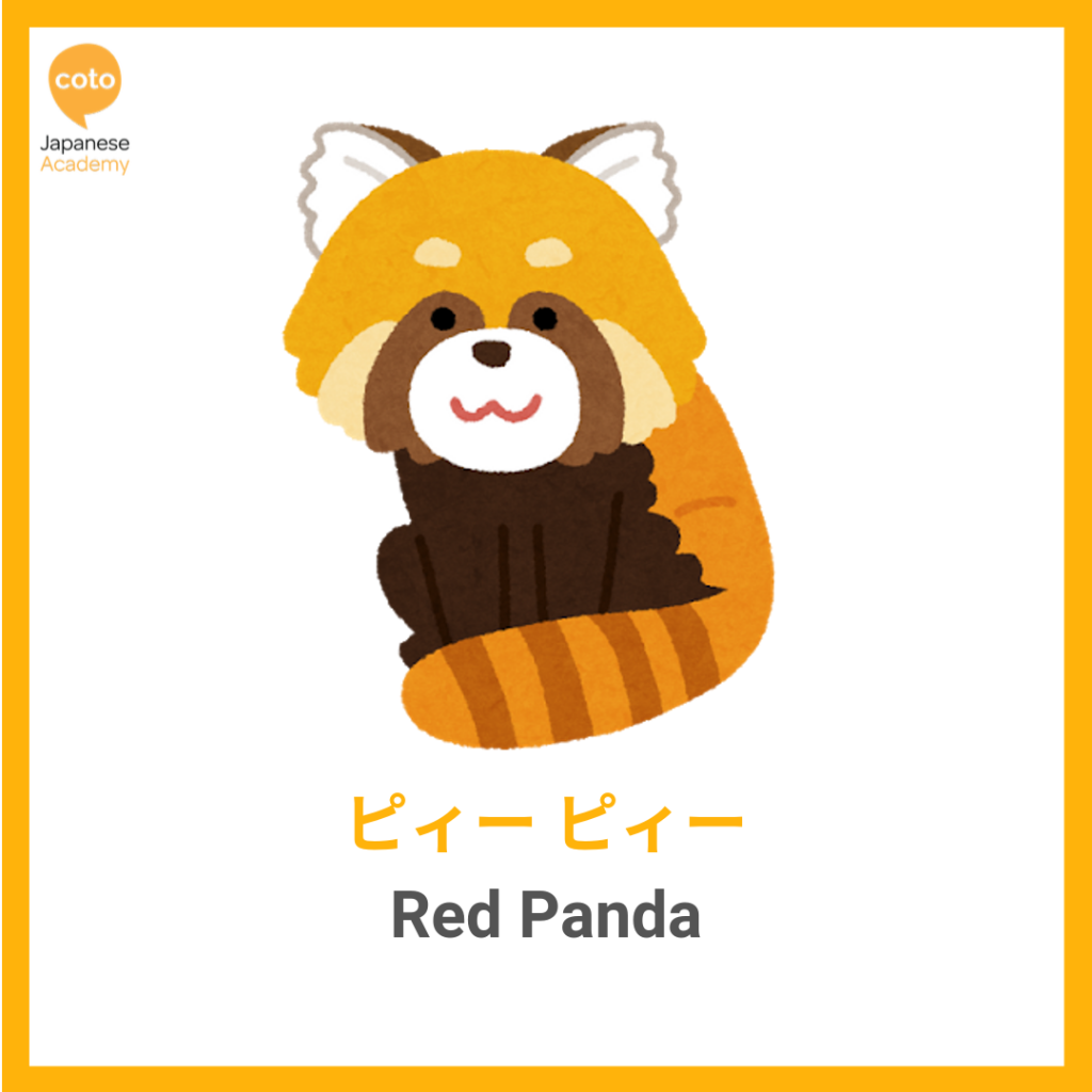 Common Animal Onomatopoeia used by the Japanese, red panda, image, picture, photo, illustration