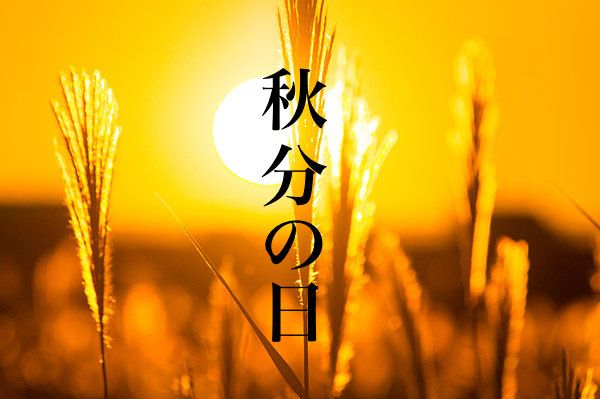 The Japanese Silver Week