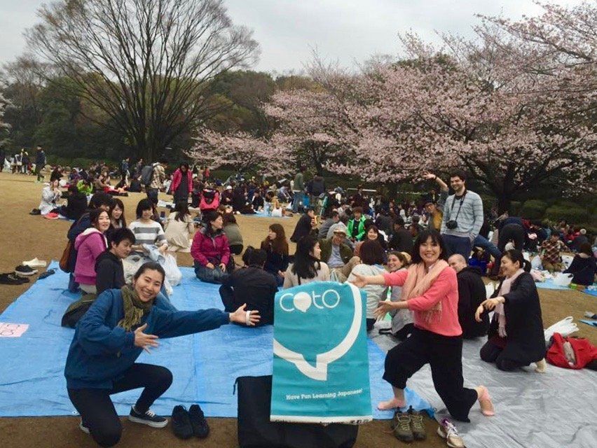 2017 Cherry Blossom Forecast!