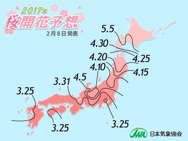 2017 Cherry Blossom Forecast!