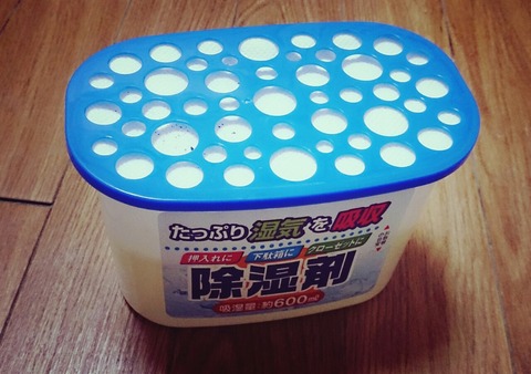 Dealing With Mold In Japan During The Rainy Season