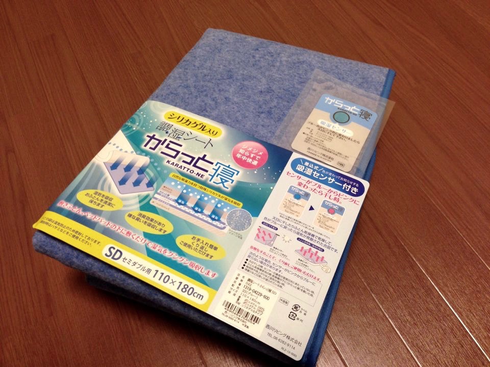 Dealing With Mold In Japan During The Rainy Season