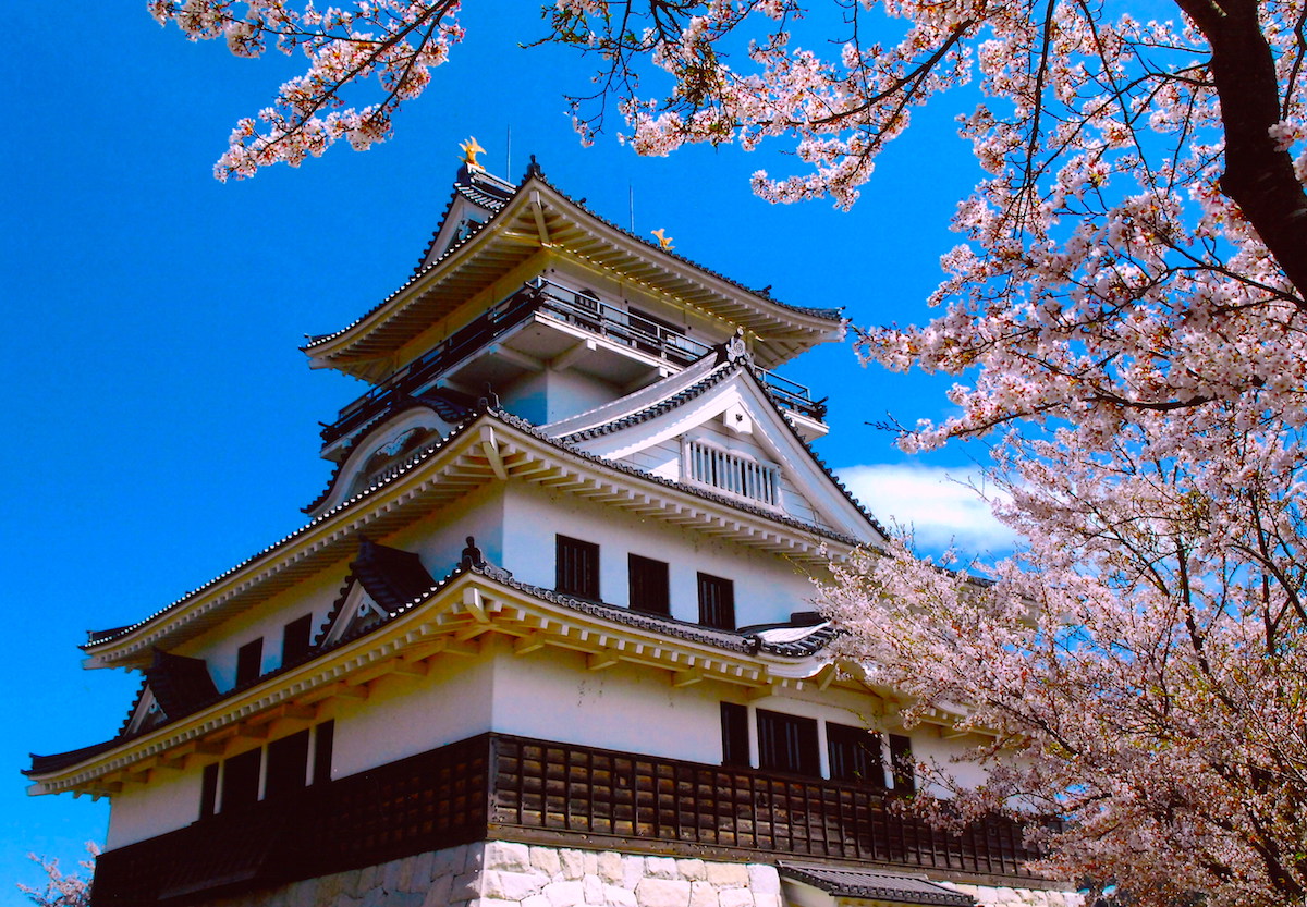 dog castle Aichi Prefecture Japan