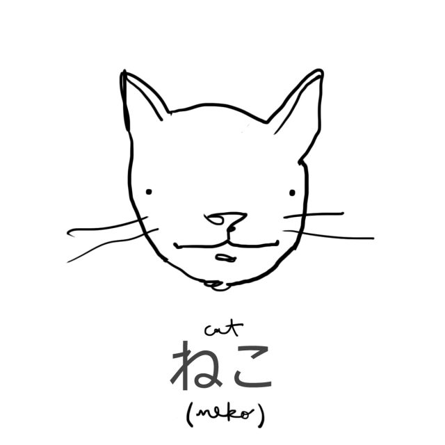 Animal: Cat 猫(ねこ)
