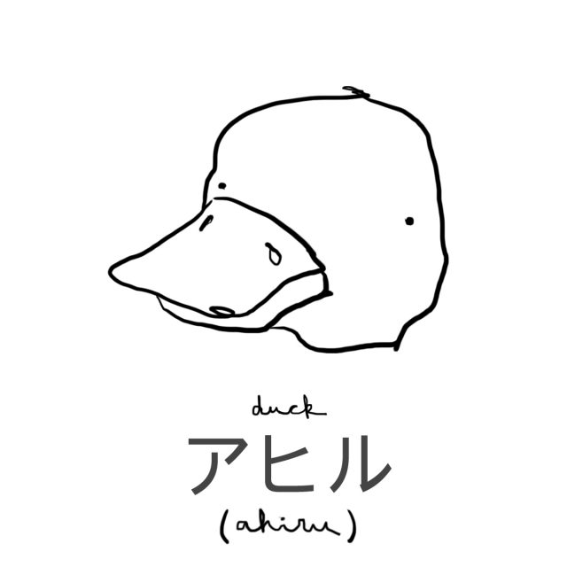 Animal: Duck 鴨(カモ/アヒル)