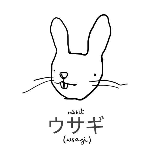 Animal: Rabbit 兎(ウサギ)