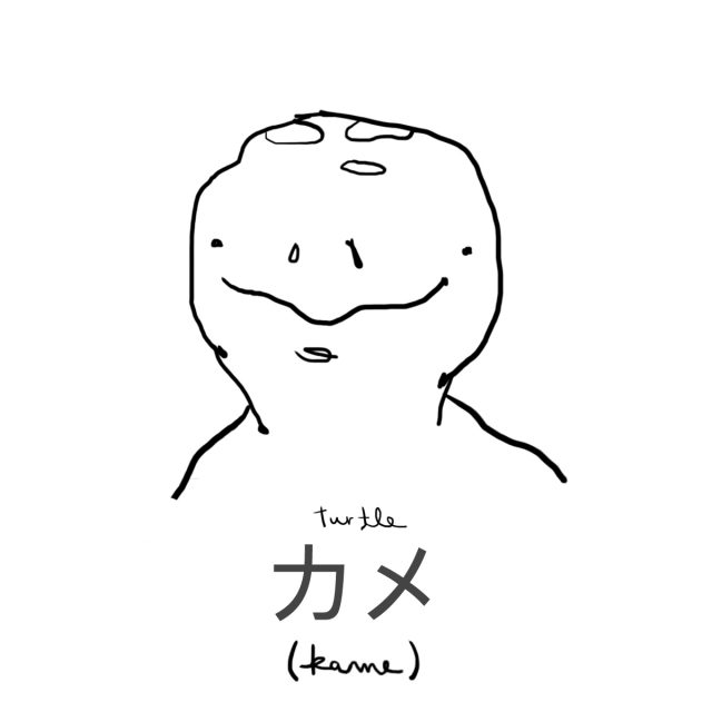 Animal: Turtle 亀 (カメ)