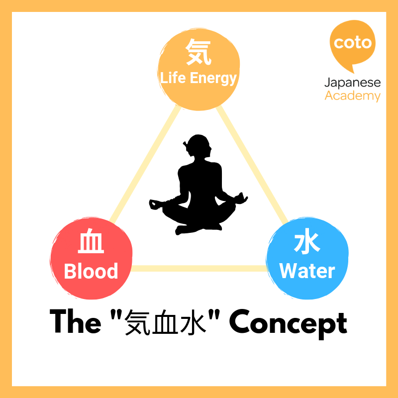 Illustration of the "気血水" Concept 