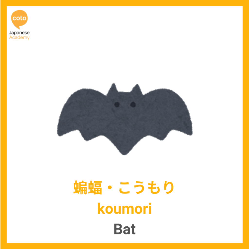 Halloween, Bat, image, photo, picture, illustration