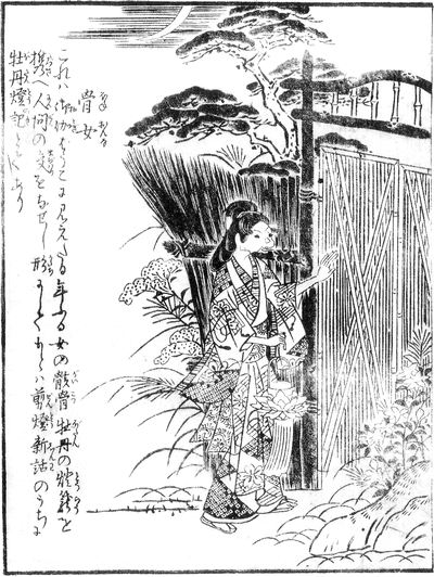 Japanese Youkai, hone onna, bone woman, image, photo, picture, illustration