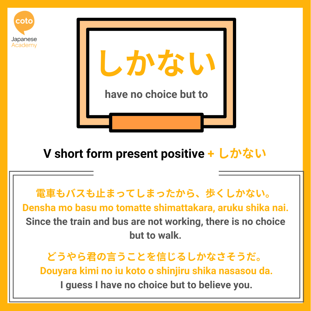 jlpt n3 grammar point しかない