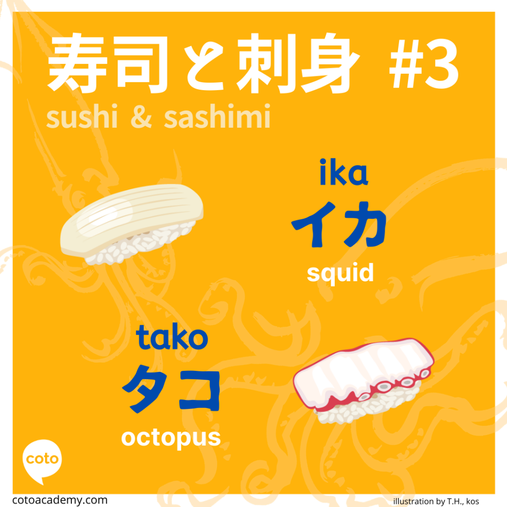 sushi and sashimi japanese squid and octopus