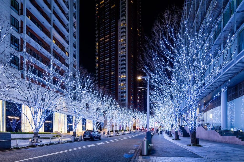 Roppongi Keiyazaki-dori Illumination