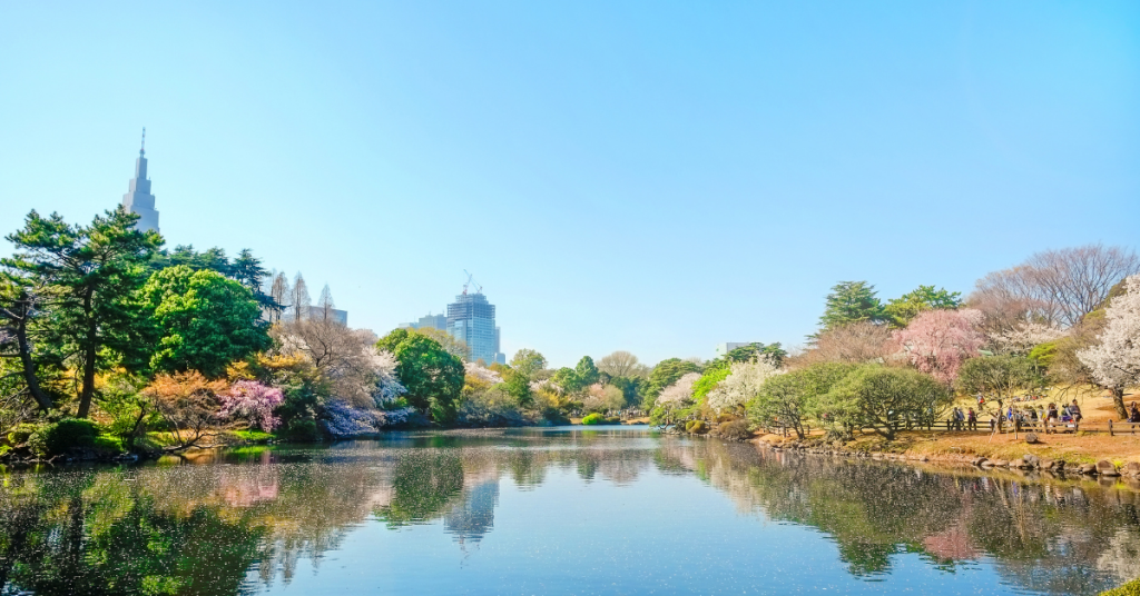 things to do shinjuku