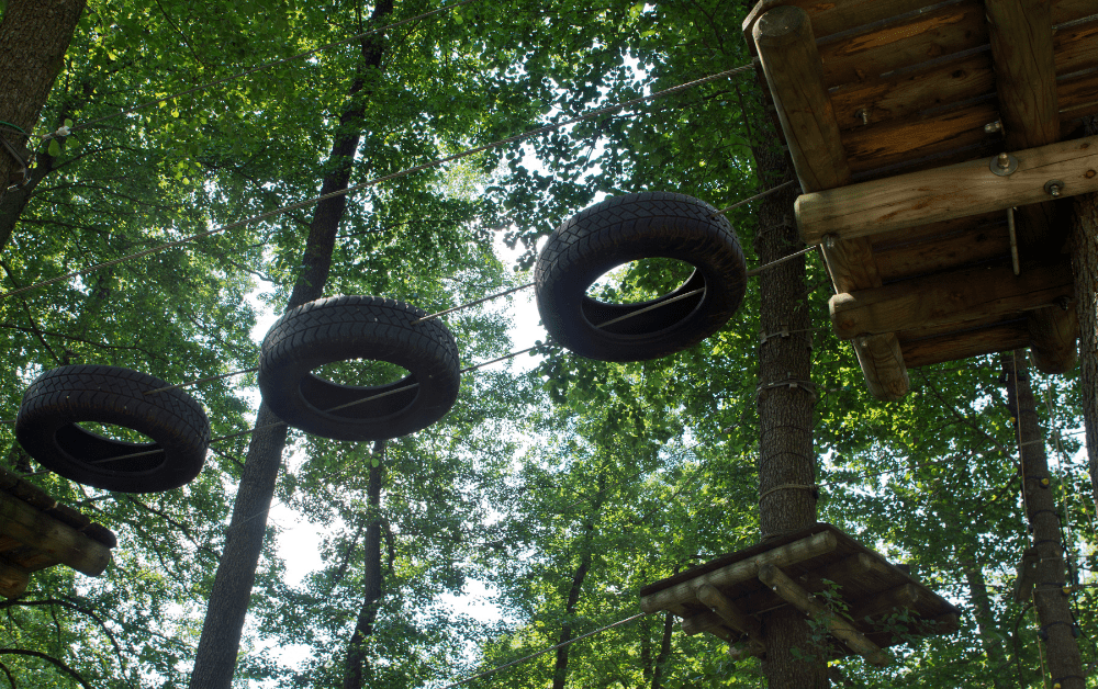 Athletics Adventure Park in Forest Adventure Hakone