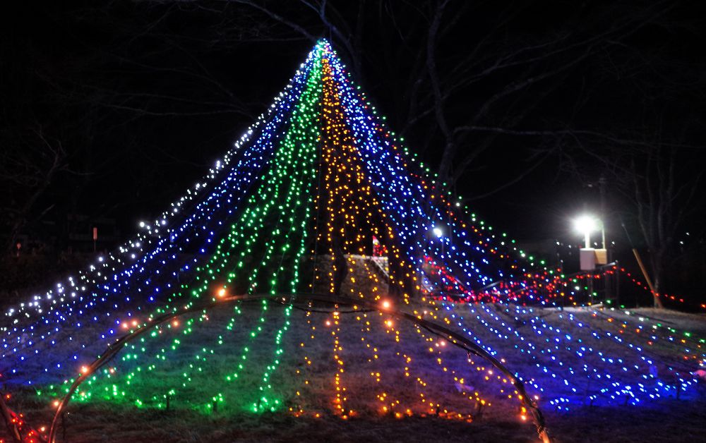 Christmas Illuminations in Japan