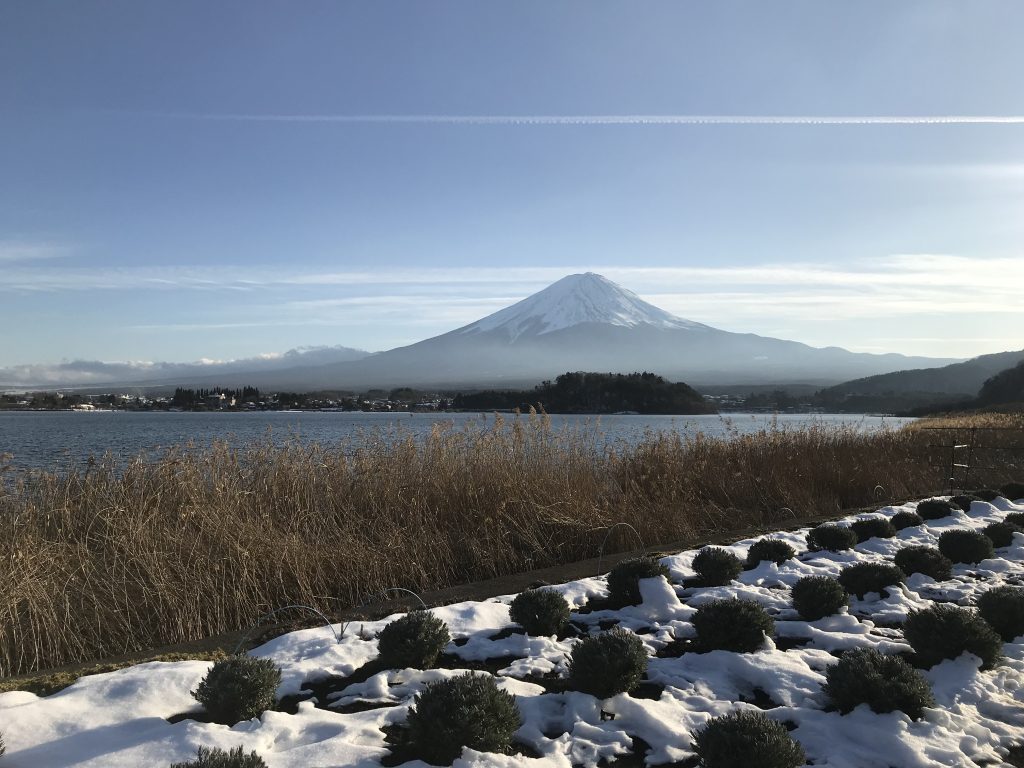 kawaguchiko daytrip from tokyo