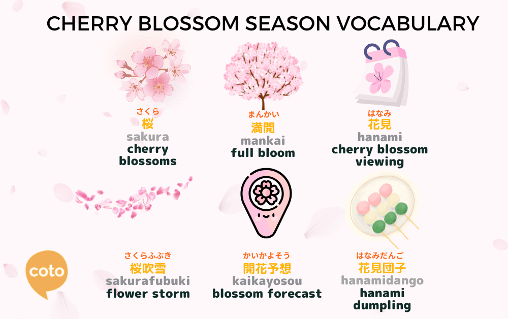 Cherry blossom season vocabulary