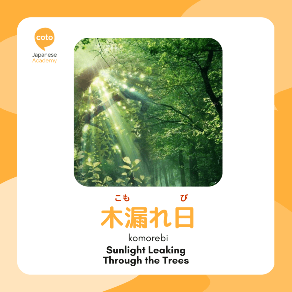 komorebi unique japanese word