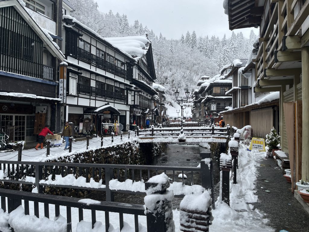 JR East Tohoku Area Pass