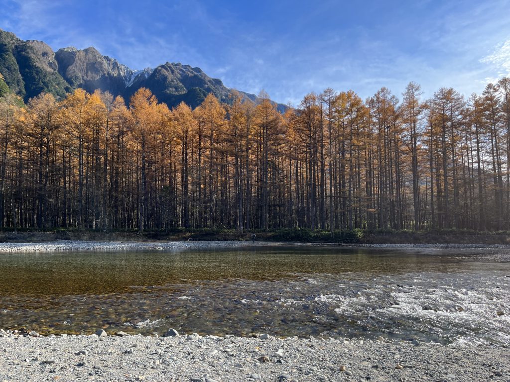 JR East Nagano Niigata Area Pass