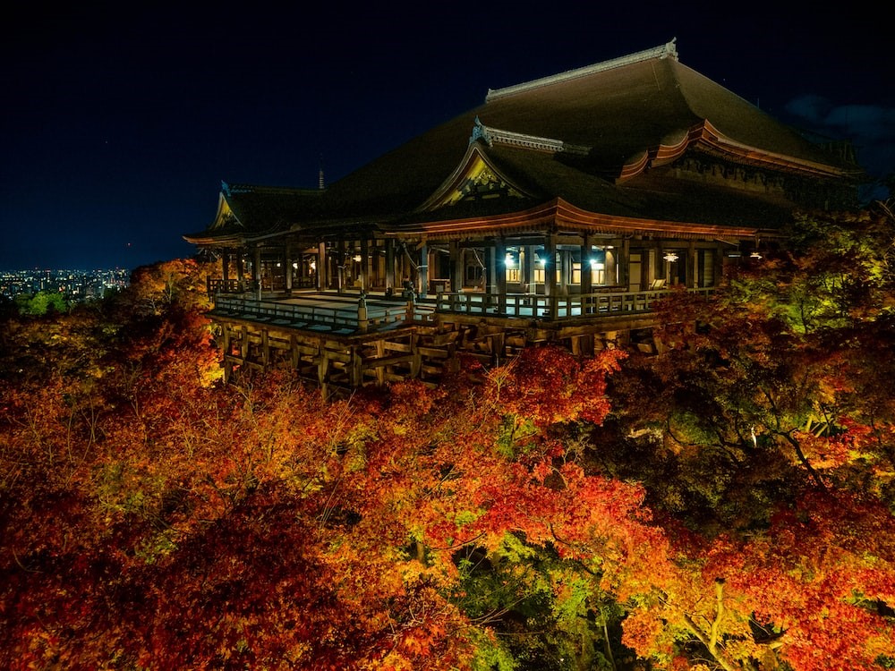 Only in Japan during Autumn time! 